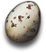 Fowlbeast Egg