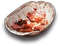 Cartilage Chunk